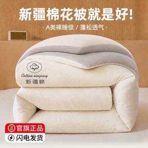 全尺码同价：源木熊 50% 新疆棉 4 斤 A 类春秋被 119 → 48 元再发车（京东 109~118 元）
